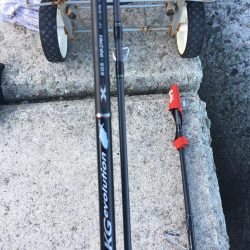 1ヒット1キャッチ 強風の中なんとか