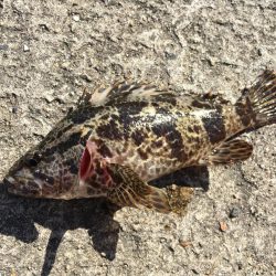 メバリングデイゲーム