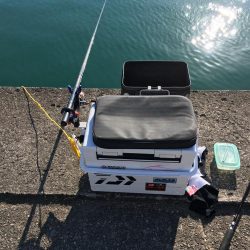 相変わらず渋い