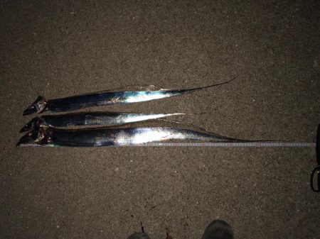 今シーズン初ドラゴン(^｡^)