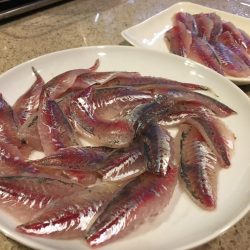アジの刺身が食べたくて