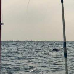 明石ジギング船