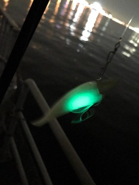 激しぶタチウオ