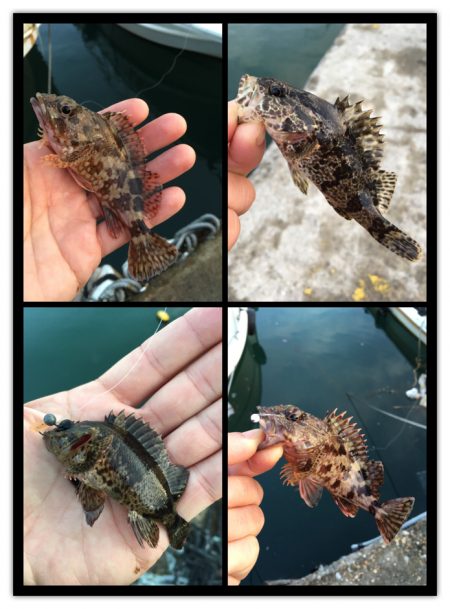 マイクロデイゲーム