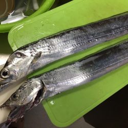 寒くて2時間で撤退（≧∇≦）