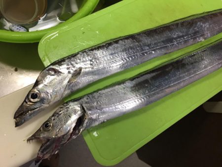 寒くて2時間で撤退（≧∇≦）