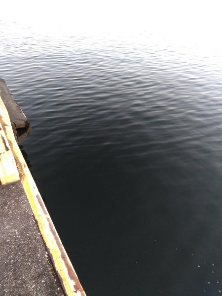 シーバスマルチも手乗りサイズ