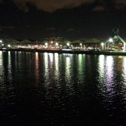 港奥ボチボチ朝の時合いは特になし