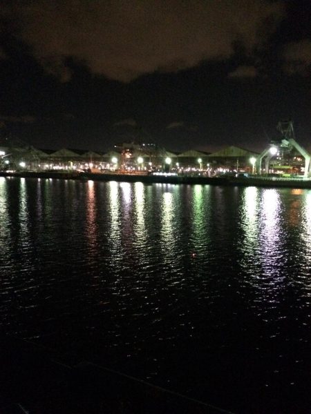 港奥ボチボチ朝の時合いは特になし