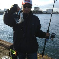 ジギング釣行〜朝まずめ〜