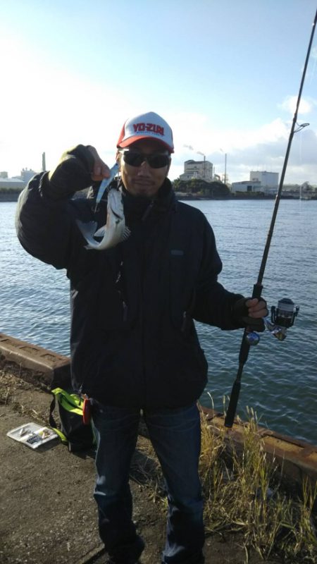 ジギング釣行〜朝まずめ〜