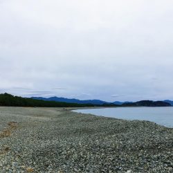 大里松原海岸 アオリイカ1kg+3杯で入魂！