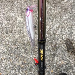 ハマチをショアジギングで釣りたくて