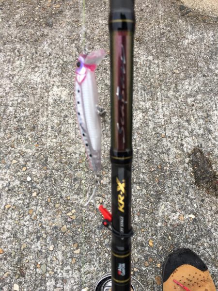 ハマチをショアジギングで釣りたくて