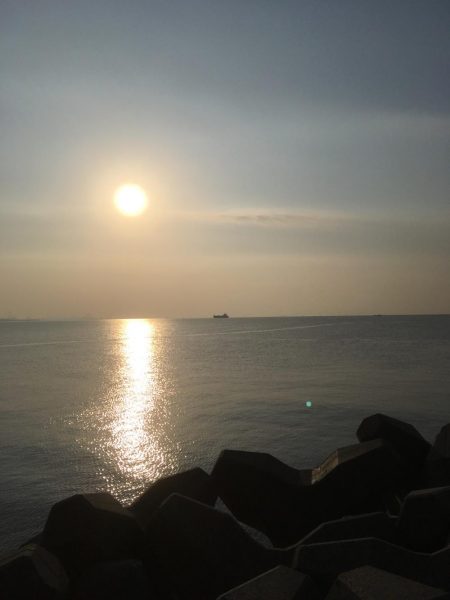 イワシはいませんでした。