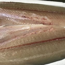 桃源郷は爆風の向こう側