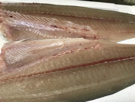 桃源郷は爆風の向こう側