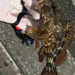 ンメェヴァルィング！