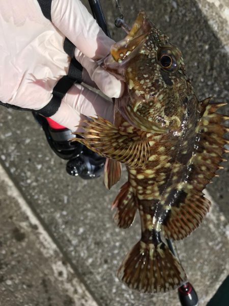 ンメェヴァルィング！