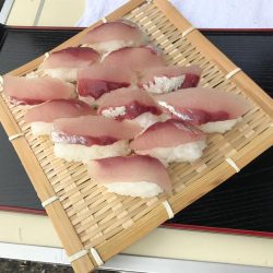 イナダ、アジ、ハゼ！