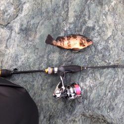 佐田岬遠征1日目