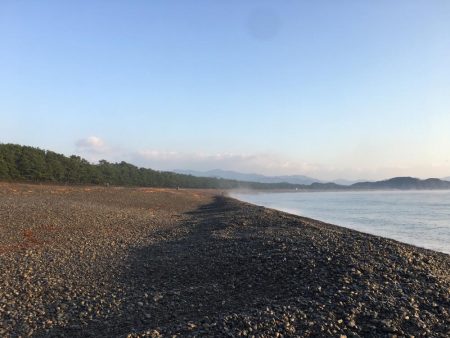 大里松原海岸 小イカ スマ