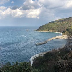 佐田岬遠征2日目