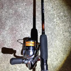 やっぱりガシラ