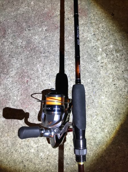 やっぱりガシラ