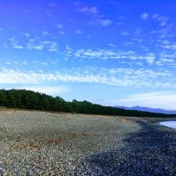 大里松原海岸 アオリイカ2 メジカ1