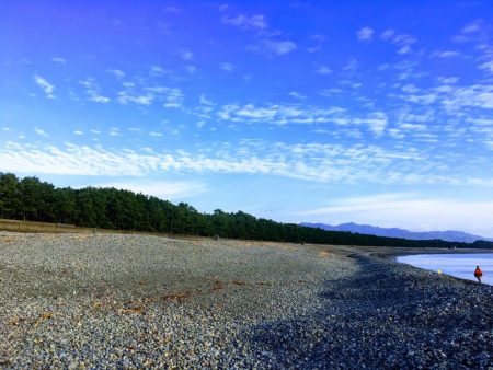 大里松原海岸 アオリイカ2 メジカ1