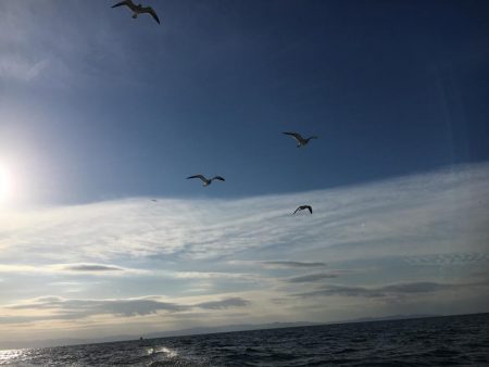 初のオフショア