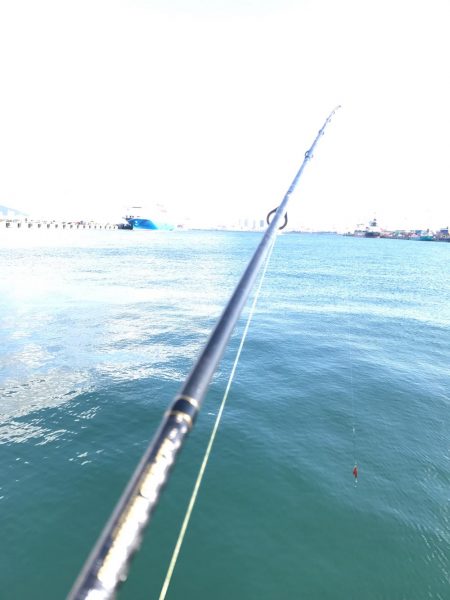 ハマチクランク?