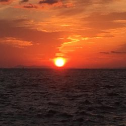 激シブの中値千金！