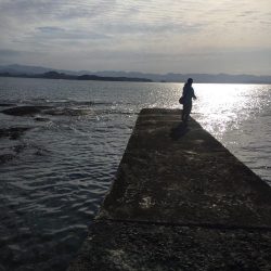 エギングトリップ