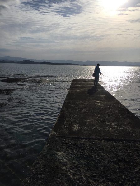 エギングトリップ