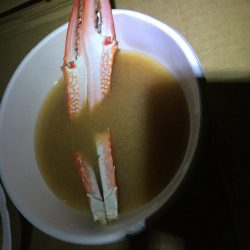 ザ！五目釣り！