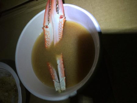 ザ！五目釣り！