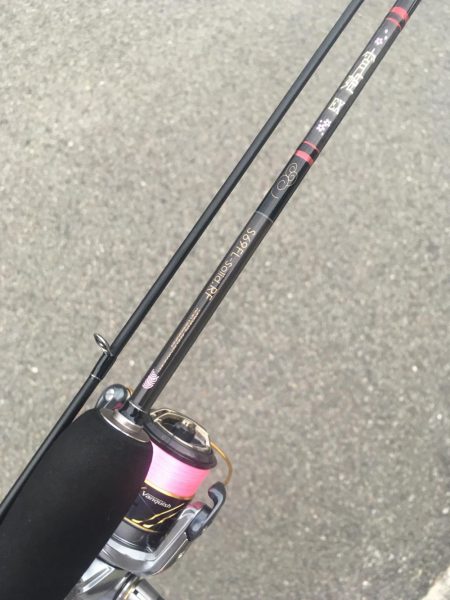 冬のお魚登場です。