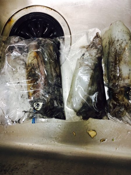 苗我島エギング