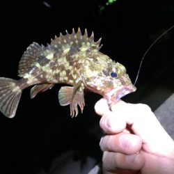 五目ライトゲーム