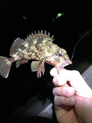 五目ライトゲーム