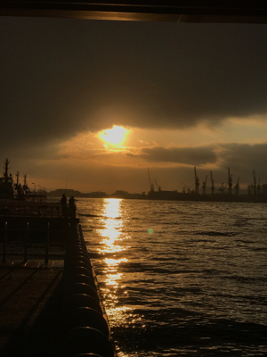 ランカー出た!!わーい