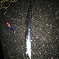 本気でやればもっと…