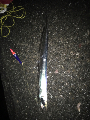 本気でやればもっと…