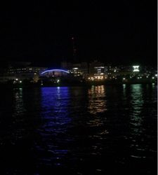 エイはいらない…