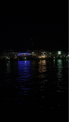 エイはいらない…