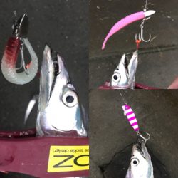 何にでも反応が良かった。