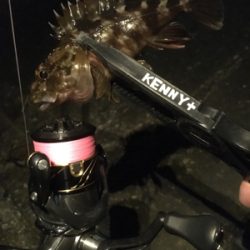 向かい風も何のその。