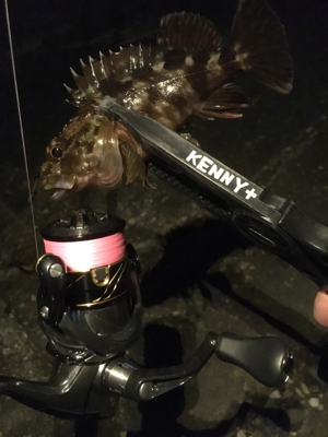 向かい風も何のその。